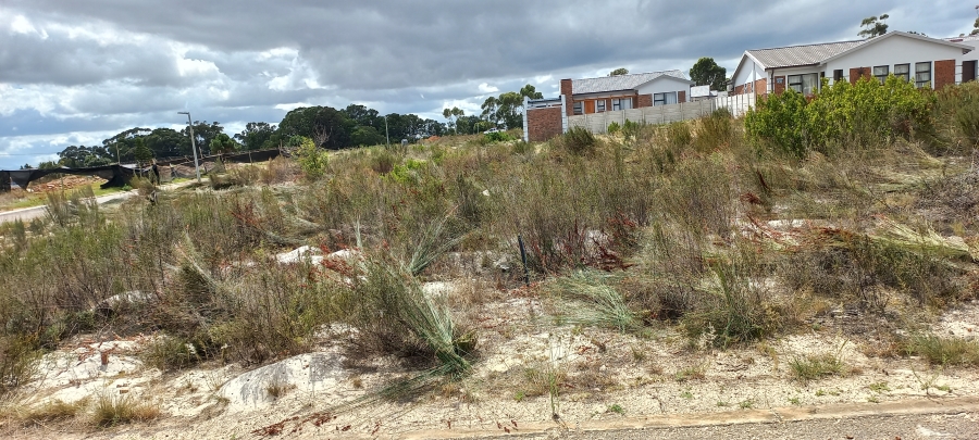 0 Bedroom Property for Sale in Albertinia Western Cape